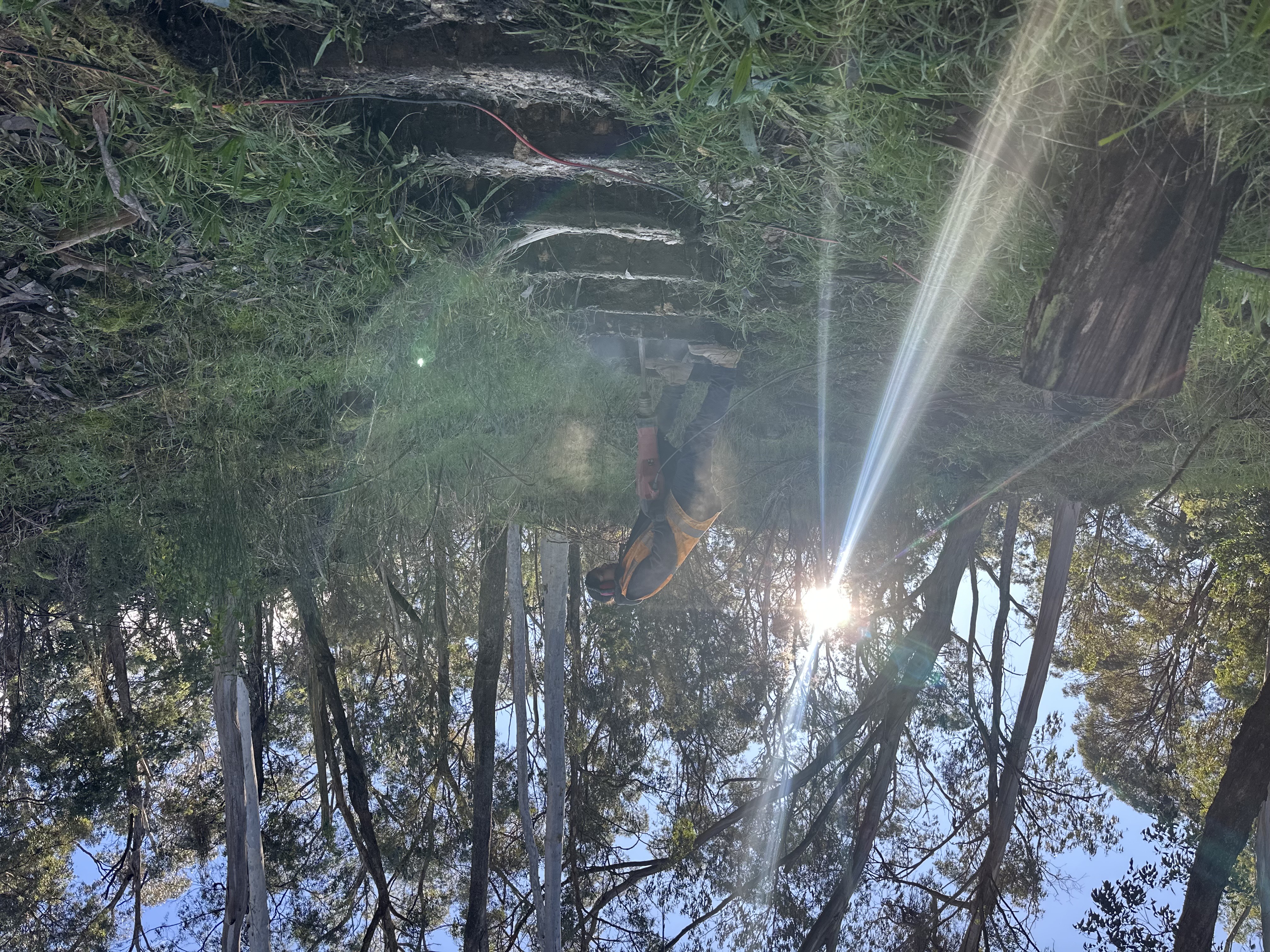 Lake Kerferd Walking Track Safety Works